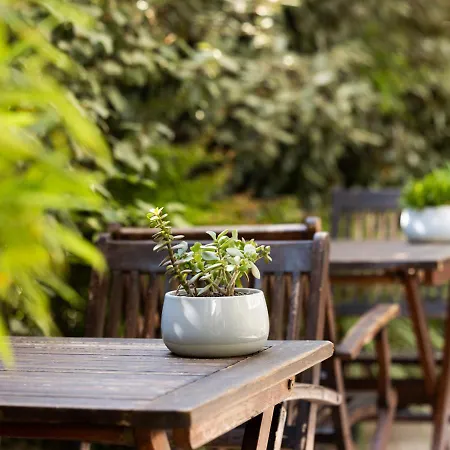 Constellation Отель Лидо-ди-Савио