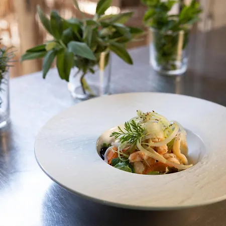 Constellation Отель Лидо-ди-Савио